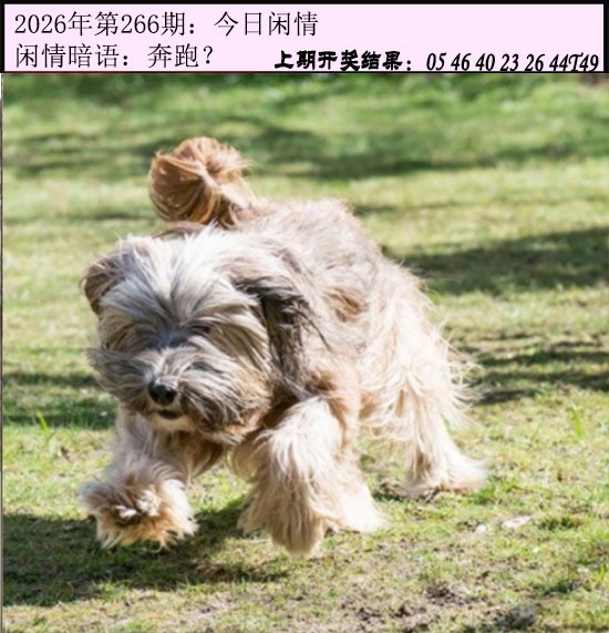 澳门横财富
