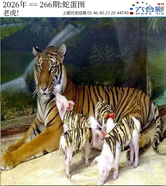 澳门横财富