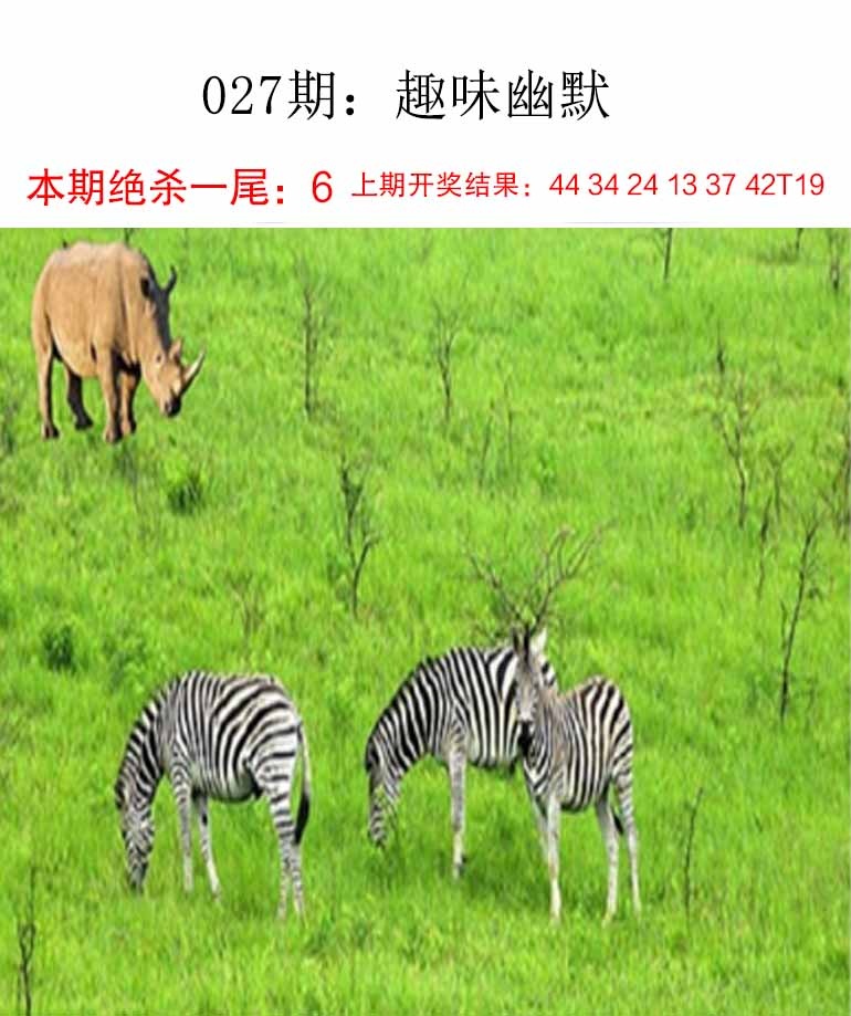 如遇图片未显示，请开奖日六点后查看