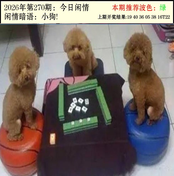 刘半仙