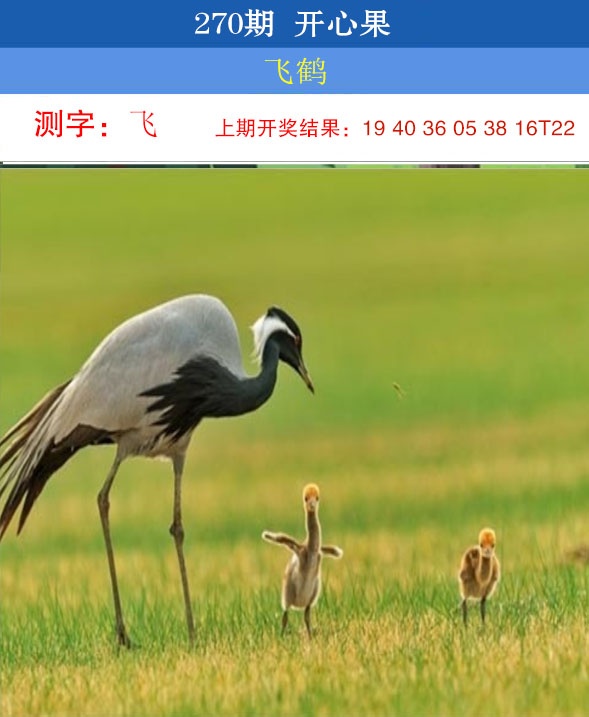 刘半仙