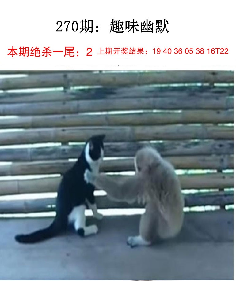 刘半仙