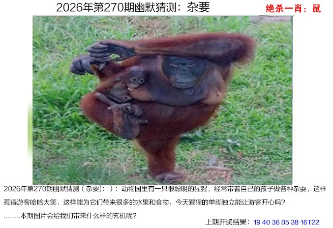 刘半仙