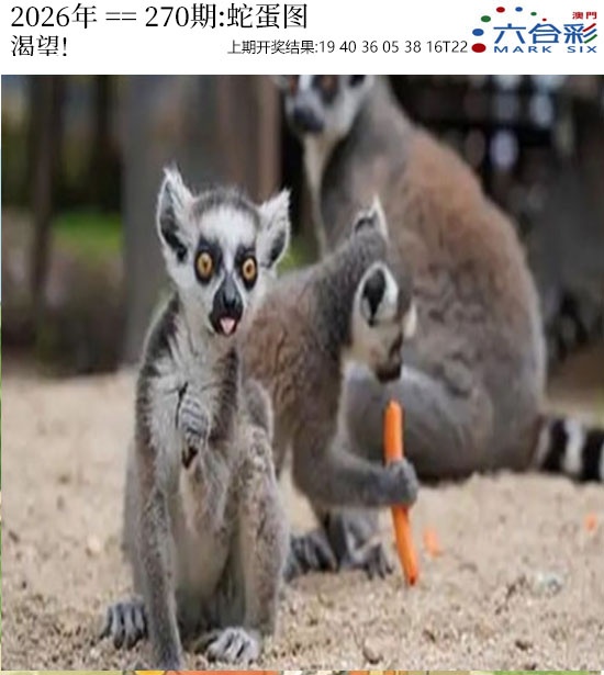 刘半仙