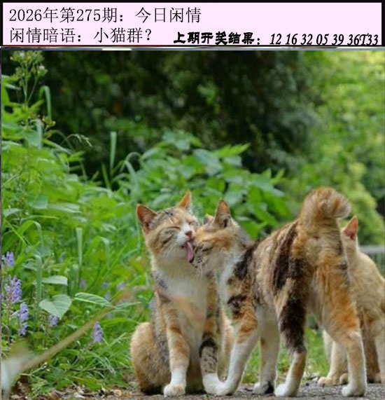 刘半仙