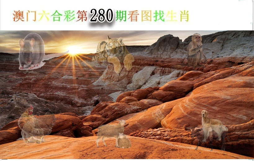 澳门横财富