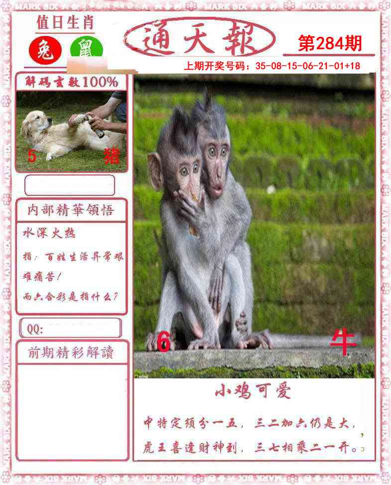 报彩神童