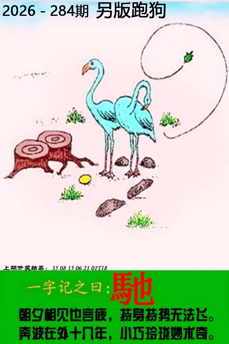 报彩神童