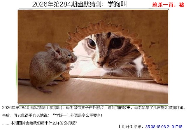 报彩神童