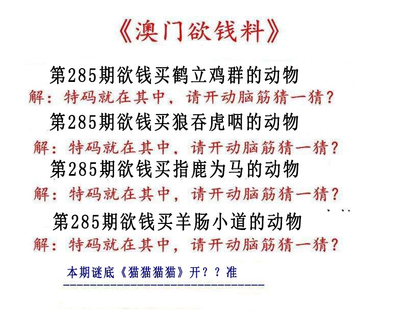 澳门横财富
