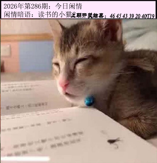 刘半仙