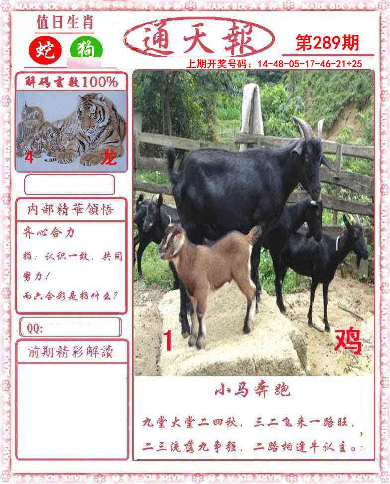 澳门百彩通