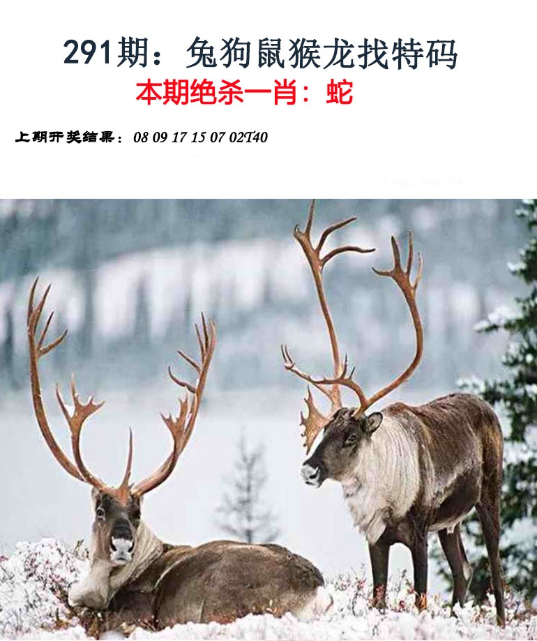 澳门救世祖
