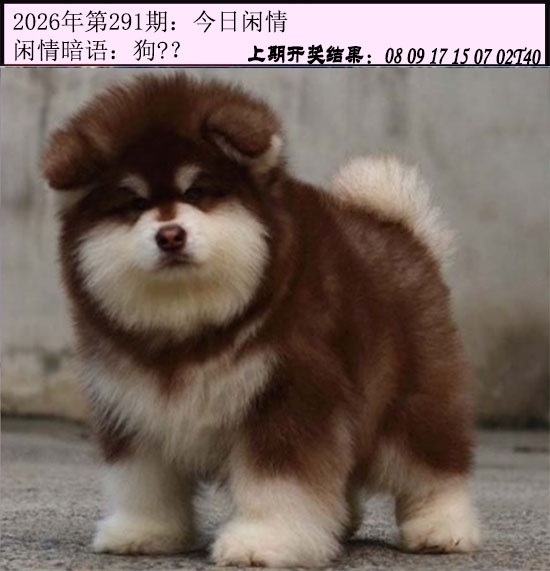 澳门救世祖