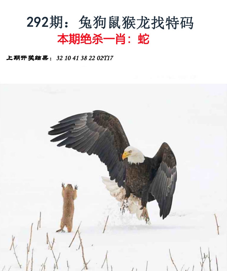 铁算盘
