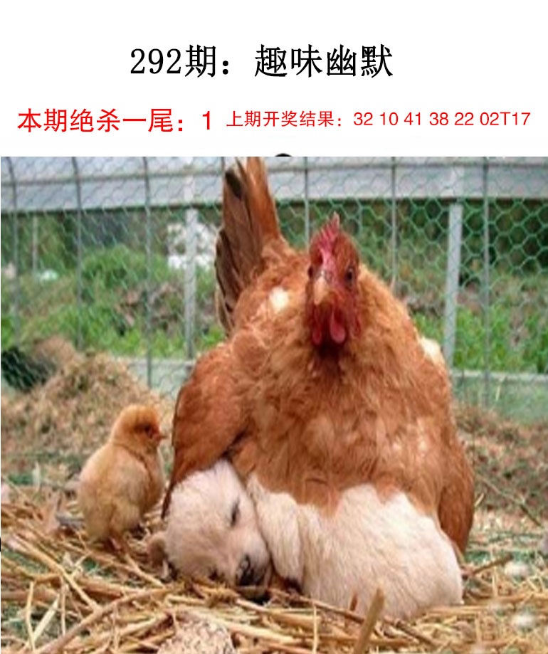 铁算盘