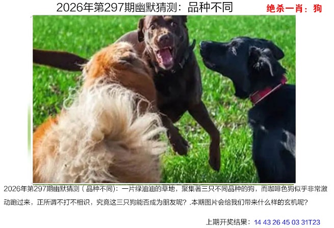 澳门奇人中特