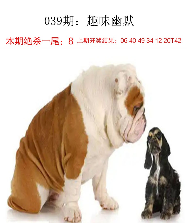 如遇图片未显示，请开奖日六点后查看