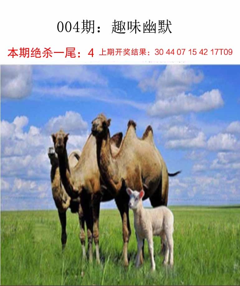 如遇图片未显示，请开奖日六点后查看