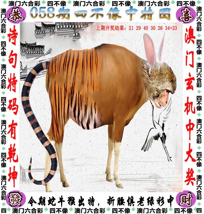 如遇图片未显示，请开奖日六点后查看