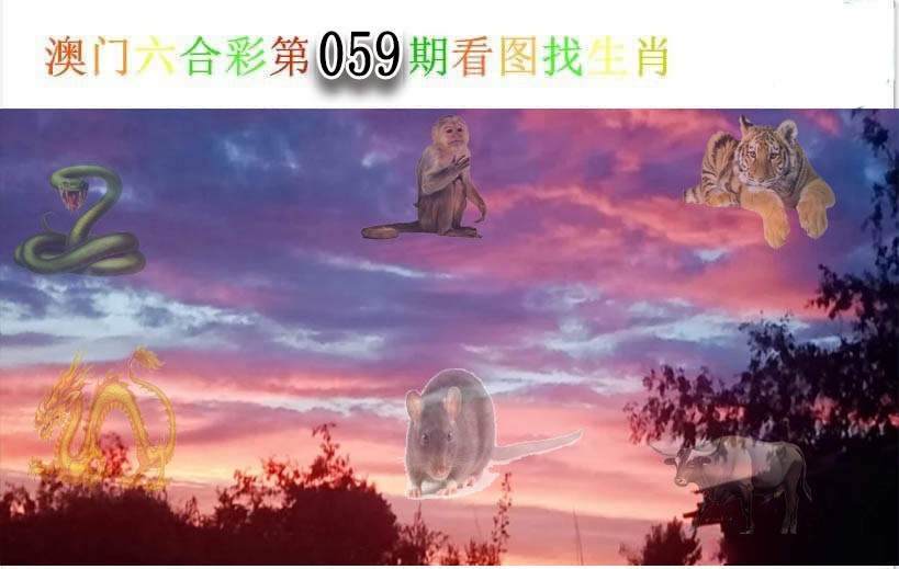 澳门掌中彩115589.com