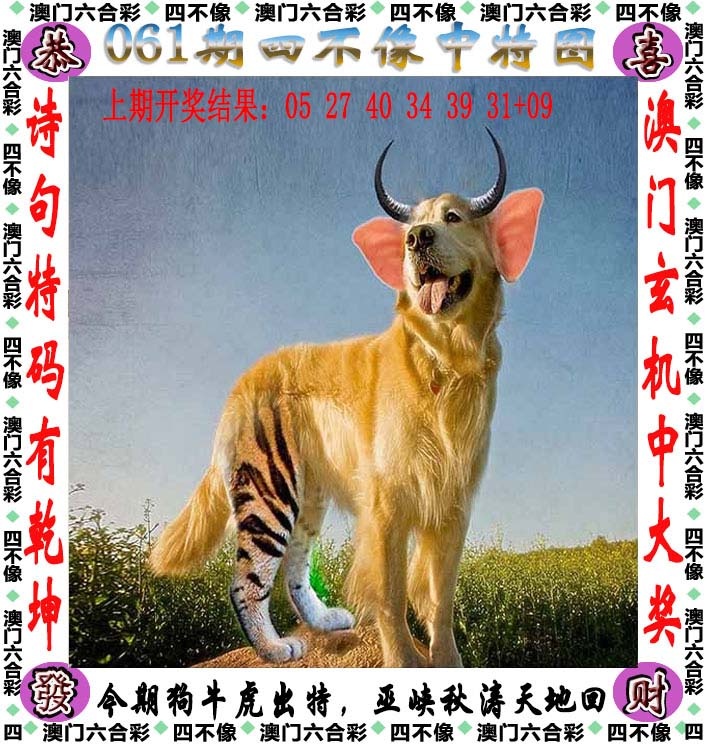 如遇图片未显示，请开奖日六点后查看