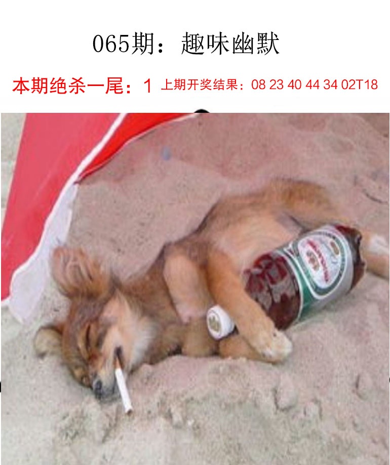 如遇图片未显示，请开奖日六点后查看