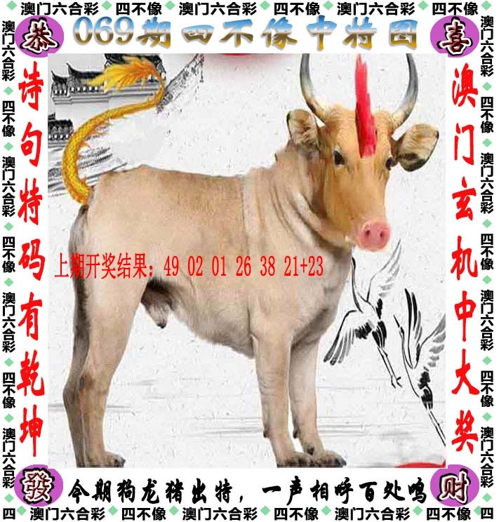 如遇图片未显示，请开奖日六点后查看