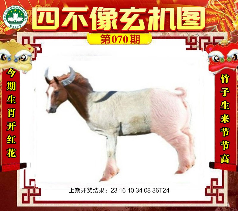 如遇图片未显示，请开奖日六点后查看