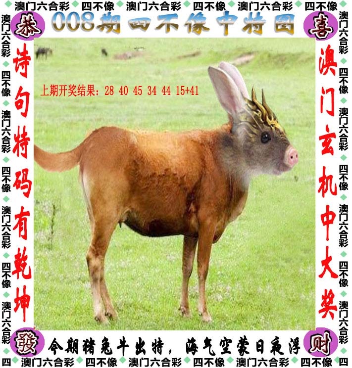 如遇图片未显示，请开奖日六点后查看