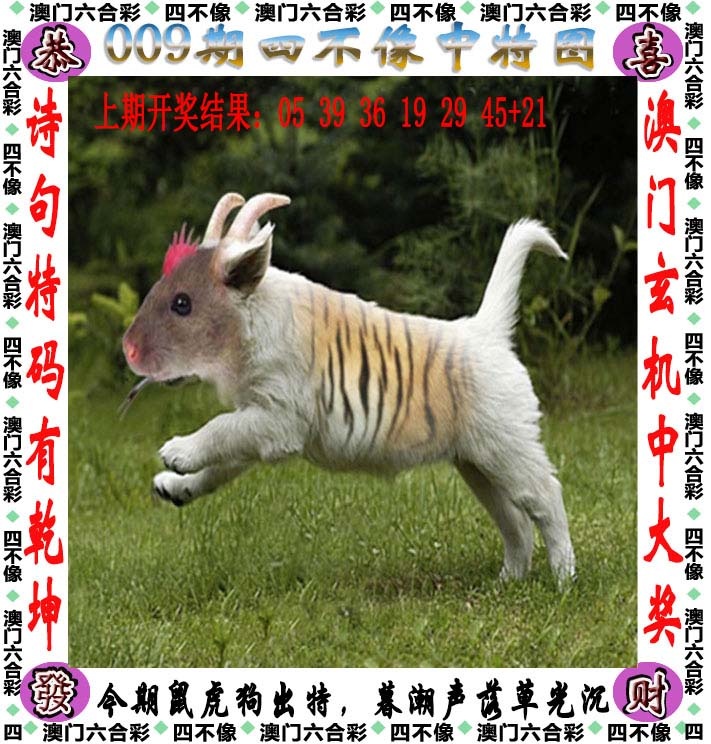 如遇图片未显示，请开奖日六点后查看