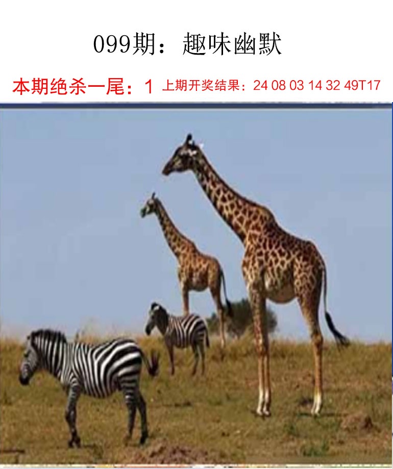 如遇图片未显示，请开奖日六点后查看